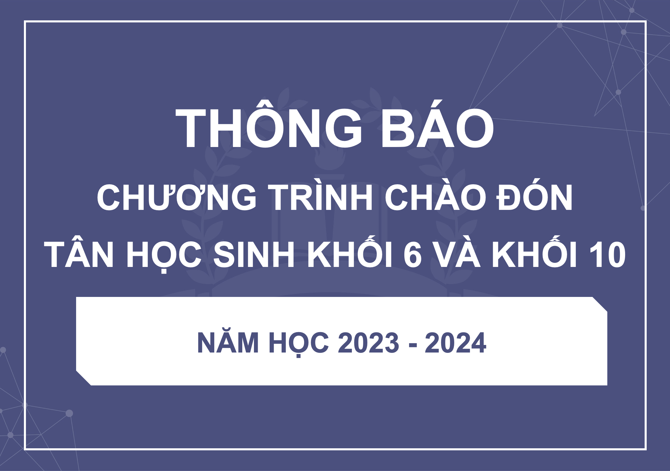 hinhanh
