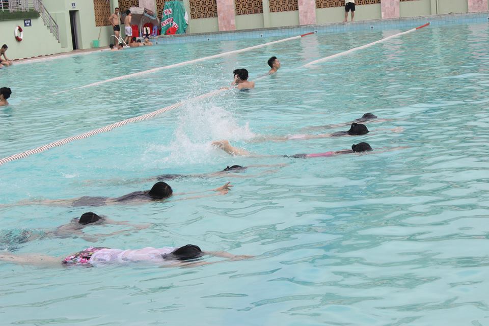 hinhanh