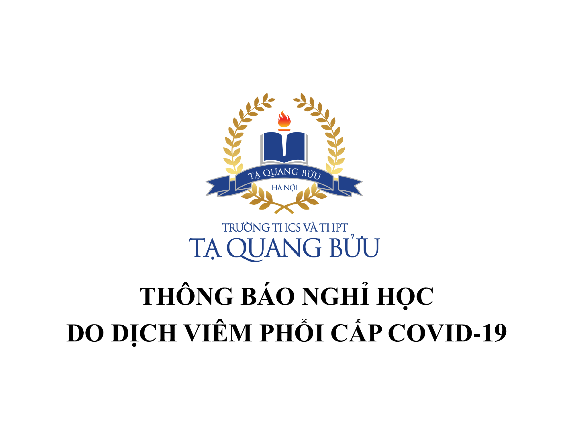 hinhanh